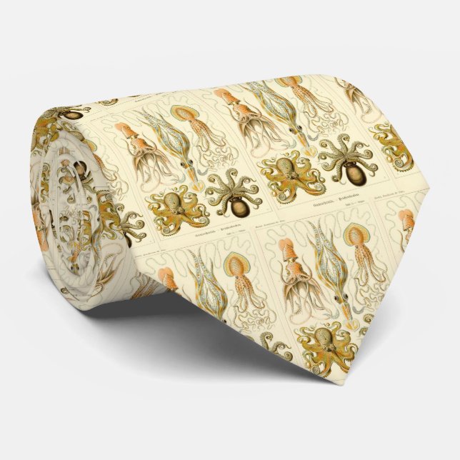 Vintage Haeckel-Meerestiere Krawatte (Gerollt)