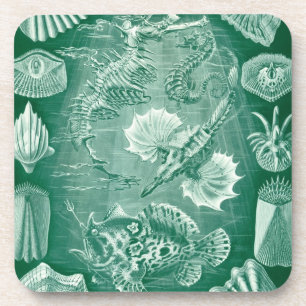 Vintage Haeckel Meerestiere Untersetzer