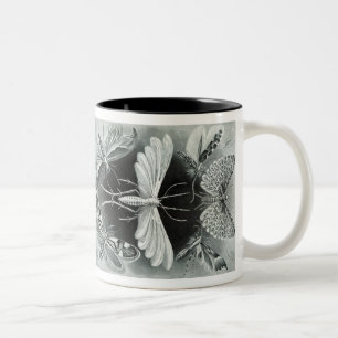 Vintage-Haeckel-Motte Zweifarbige Tasse