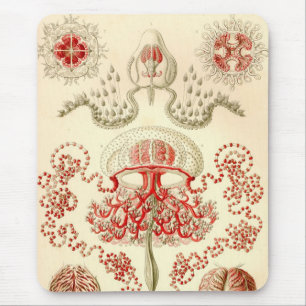 Vintage Haeckel Mousepad