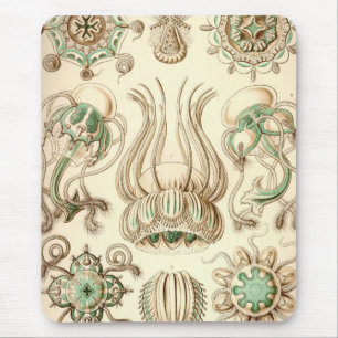 Vintage Haeckel Mousepad