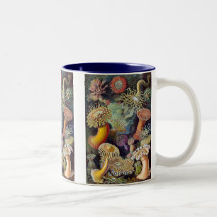 Vintage Haeckel Seeanemone Zweifarbige Tasse