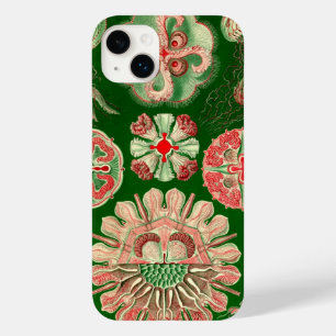 Vintage Haeckel title_seo2