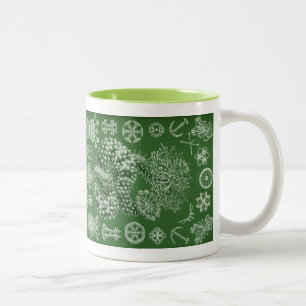 Vintage Haeckel Zweifarbige Tasse