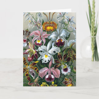Vintage Haekel botanische Karte