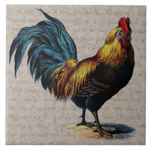 Vintage Hahn-und Antiken-Text-Collage - Gewohnheit Fliese