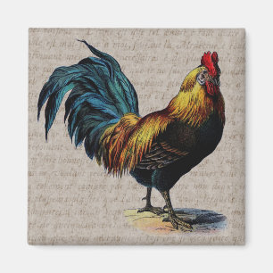 Vintage Hahn und Antique Text Collage - Benutzerde Magnet