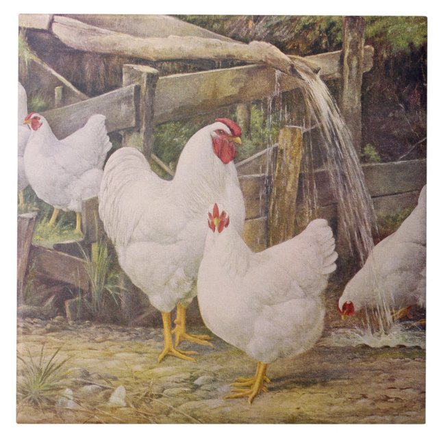 Vintage Hähnchen- und Hühnerdekor Fliese (Vorderseite)