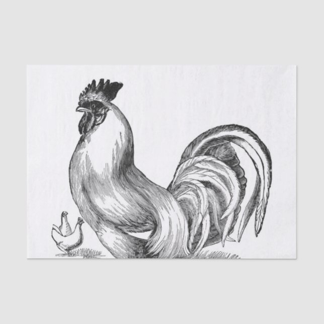 Vintage Hahnillustration Seidenpapier (Vorderseite)