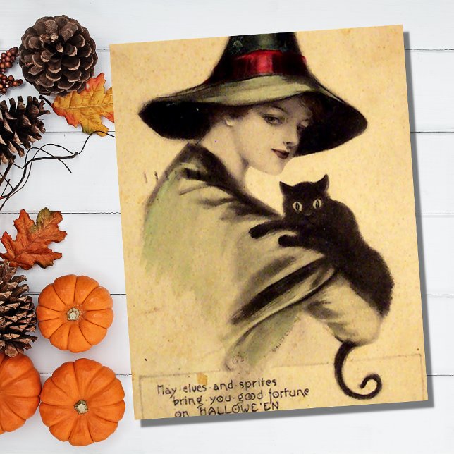 Vintage Halloween-Hexe mit schwarzer Katze Postkarte (Von Creator hochgeladen)