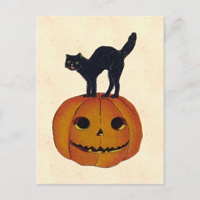 Vintage Halloween-Katze Postkarte (Vorderseite)