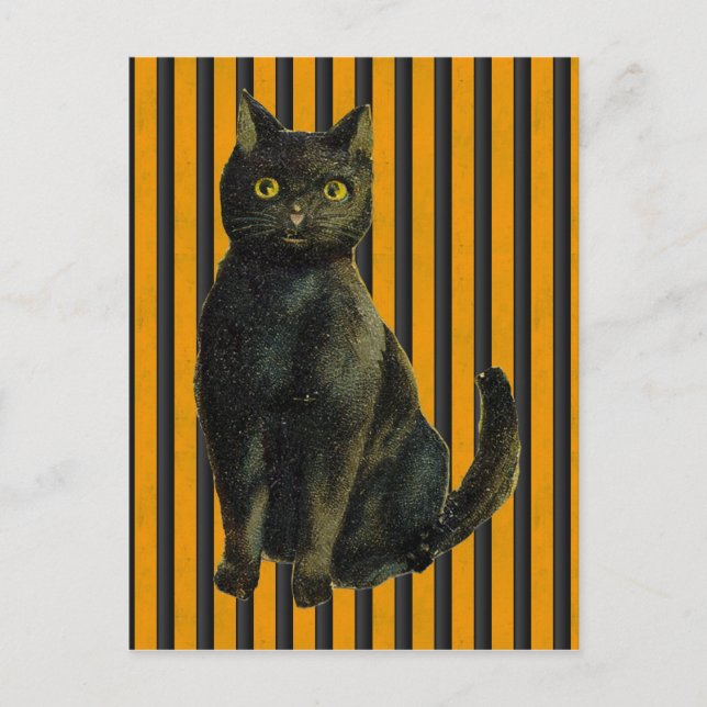 Vintage Halloween-Katze Postkarte (Vorderseite)