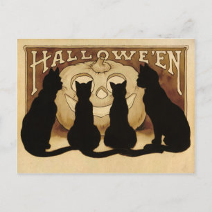 Vintage-Halloween-Katzen-Postkarte Postkarte