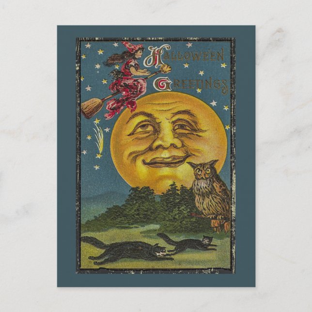 Vintage Halloween-Owl-Illustration Postkarte (Vorderseite)