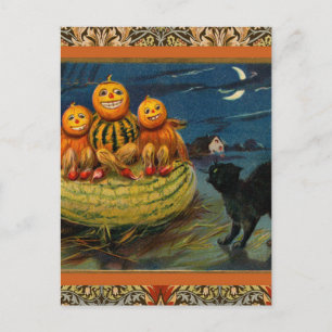 Vintage Halloween Pumpkins Black Cat Einladungspostkarte