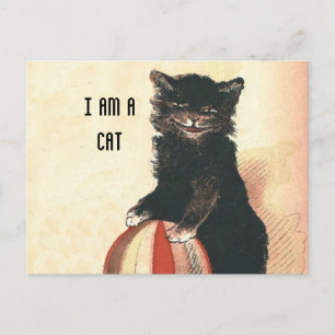 Vintage HALLOWEEN Schwarze Katze Postkarte