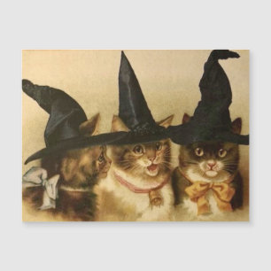 Vintage Halloween schwarze Katzen Magnetkarte