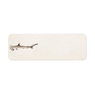 Vintage Hammerhai-Haifisch-Illustrations-Retro