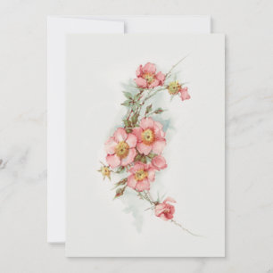 Vintage handbemalte Style Wild Rose Mitteilungskarte