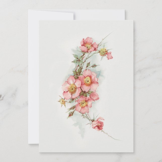 Vintage handbemalte Style Wild Rose Mitteilungskarte (Vorderseite)