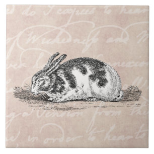 Vintage Häschen-Kaninchen-Illustration - Kaninche Fliese