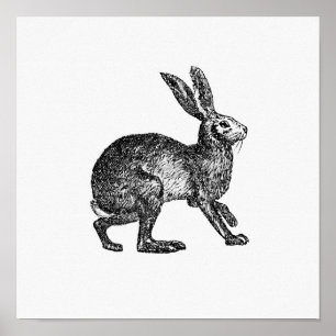 Vintage-Hasen-Illustration Poster