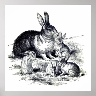 Vintage Hasenfamilie Poster