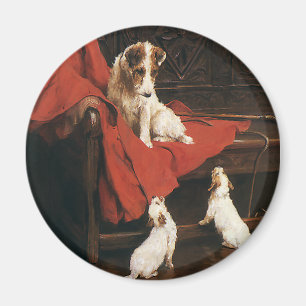 Vintage Haustiere, Jack Russel Terrier Hunde Magnet