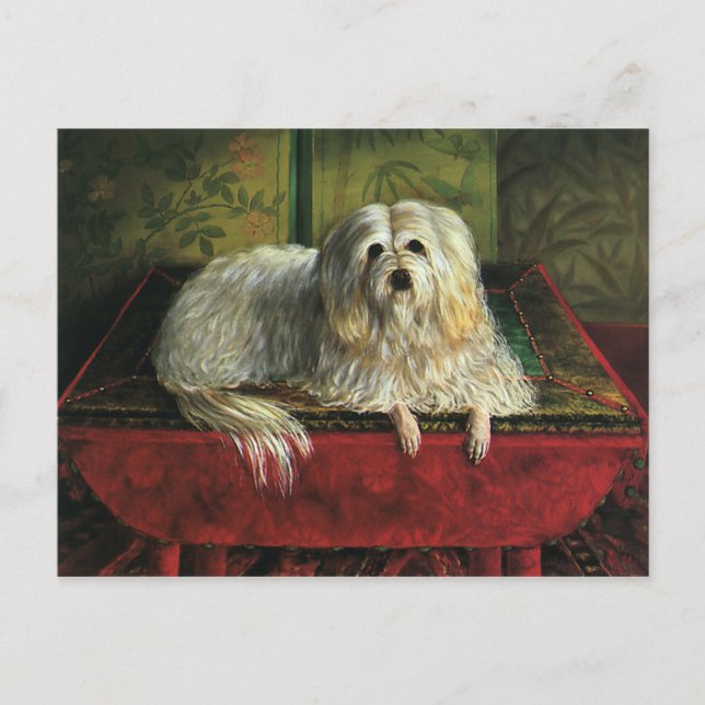 Vintage Haustiere, leibiger Schafhund Postkarte (Vorderseite)