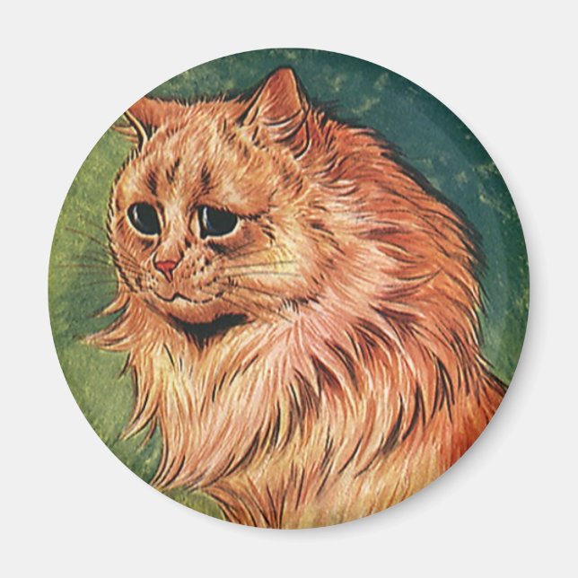 Vintage Haustiere, Orangenkatze mit langer Haare Magnet (Vorne)