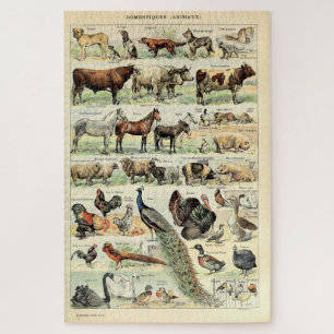 Vintage Haustiere von Adolphe Millot