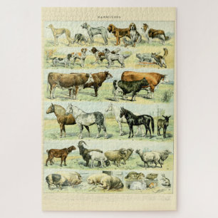Vintage Haustiere von Adolphe Millot