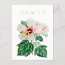 Vintage Hawaii Staat Blume Reise Mitte des Jahrhun