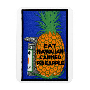 Vintage hawaiianische Ananas Magnet