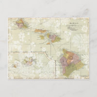 Vintage hawaiianische Postkarte Save the Date