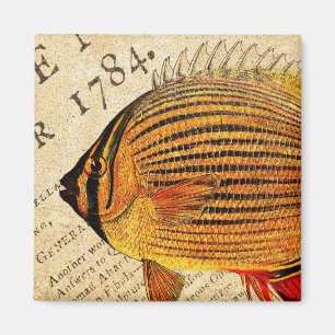 Vintage hawaiische Schmetterlings-Fische Magnet