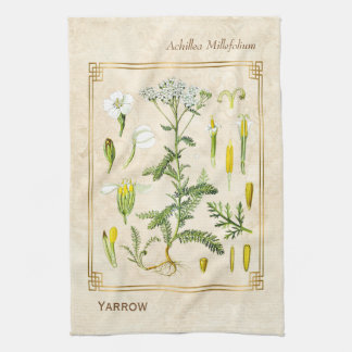 Vintage Heilkräuter-Pfeile Blume Botanische Geschirrtuch