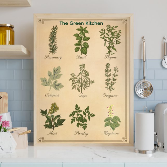 Vintage Herb Chart Botanical Kitchen Poster (Créateur téléchargé)