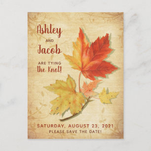 Vintage Herbstmaple-Blätter Hochzeitsfeiern Speich Postkarte