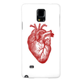 Vintage Herz-Anatomie title_seo2