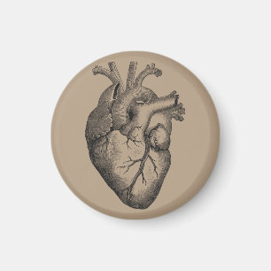 Vintage Herz-Illustration Magnet