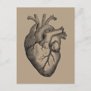 Vintage-Herzillustration Postkarte