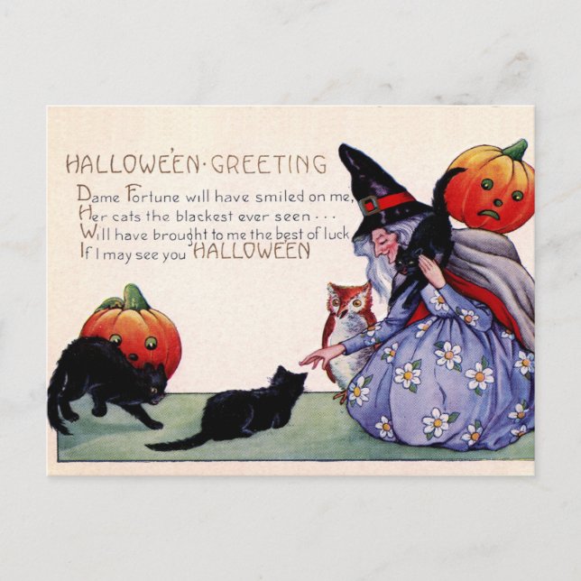Vintage Hexenkatze Owl Halloween Postkarte (Vorderseite)