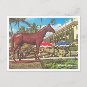 Vintage Hialeah Florida Postkarte