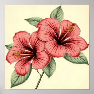 Vintage Hibiskus auf verwittertem Papier Poster