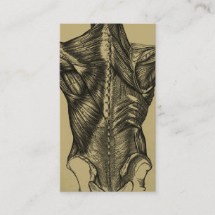 Vintage hintere Anatomie-Geschäfts-Karten Visitenkarte