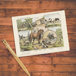 Vintage holländische Kunstwerke für Nutztiere Postkarte