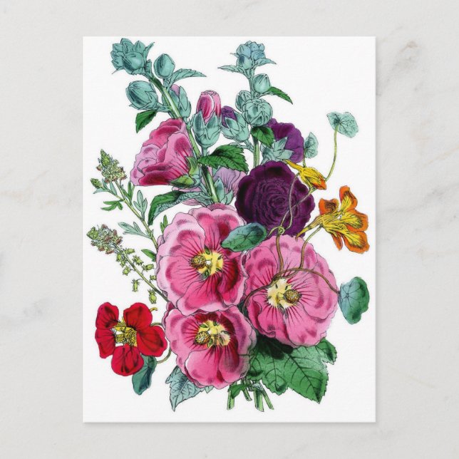 Vintage Hollyhocks Postkarte (Vorderseite)