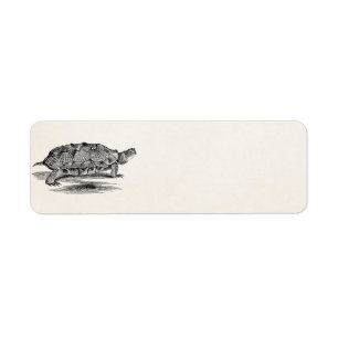 Vintage Holzterrapin Schildkrötenlehre Leere