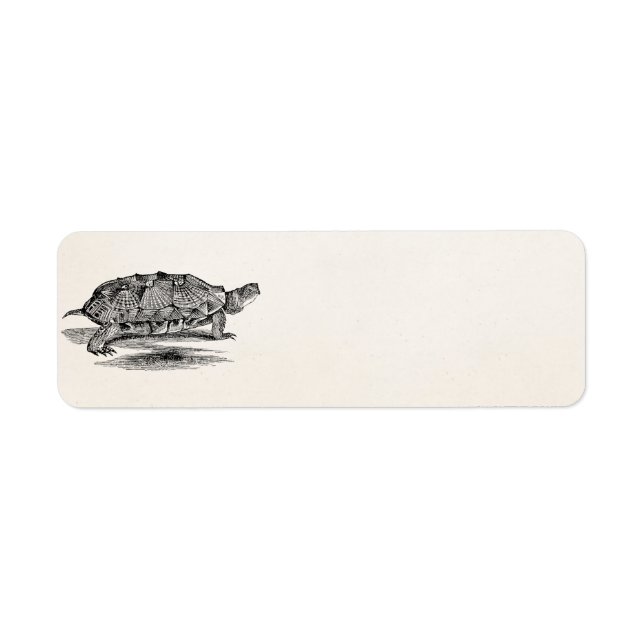 Vintage Holzterrapin Schildkrötenlehre Leere (Vorne)